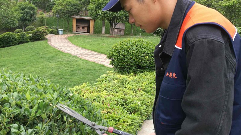 绿化工程招标公告投标策略全解析