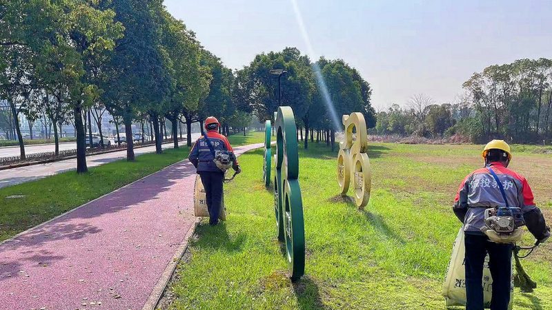 液压喷播绿化施工规范：技术要点与实施流程