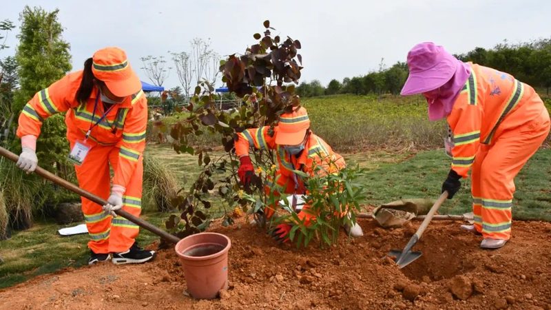 立体绿化技术规范标准：解码其价格与价值