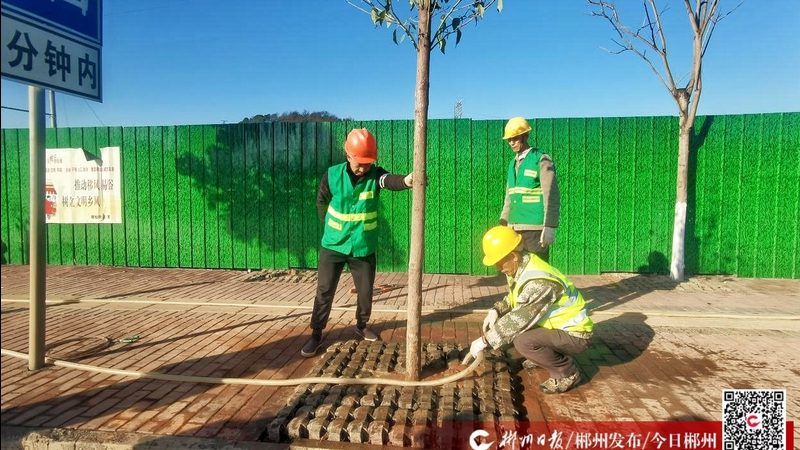 现代别墅花园设计：如何选择靠谱的设计方案