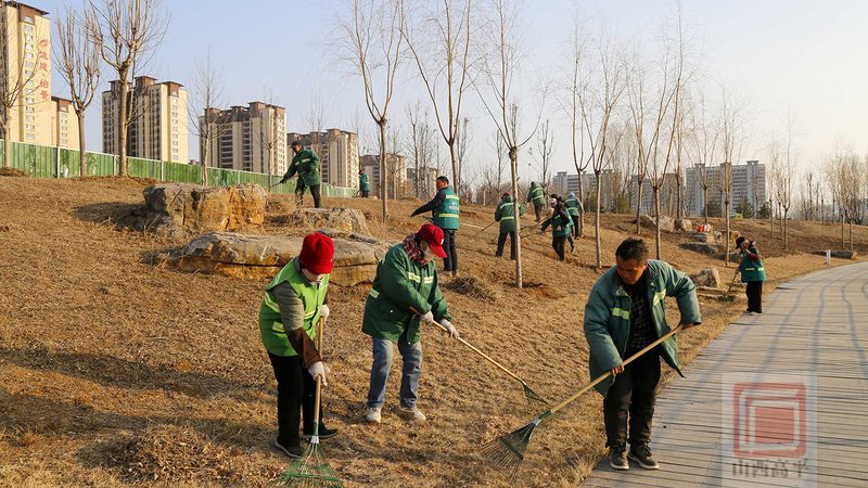 市政草坪与普通草坪的区别：品质与功能的差异化解析