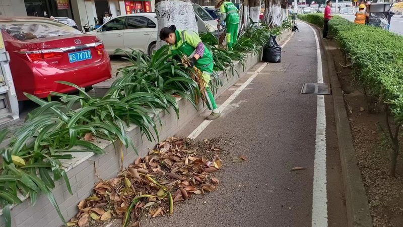 绿化苗木种植公司分类标准解析**