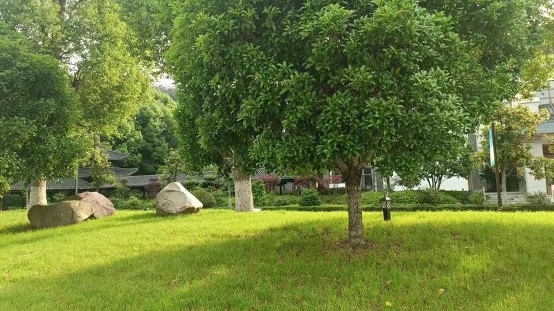 园林设计公司资质要求揭秘：标准解读与选购要点