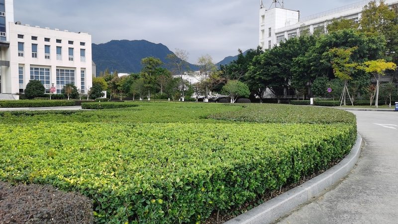 成都别墅花园设计公司排名前十