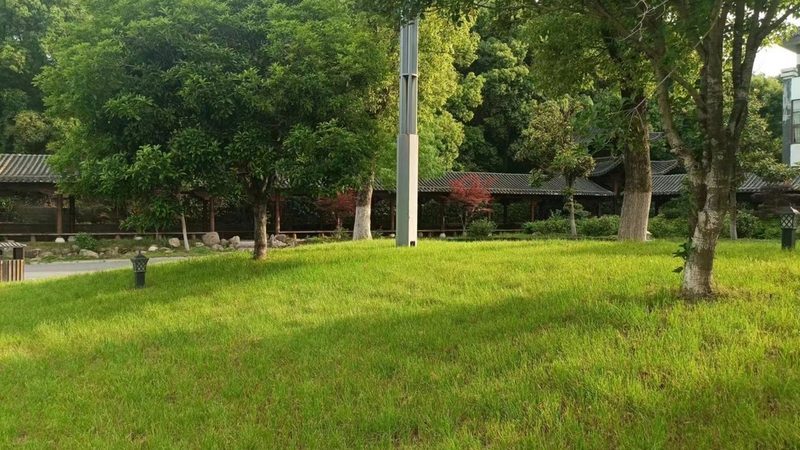 别墅绿化养护费用明细：揭秘成本构成与优化策略**