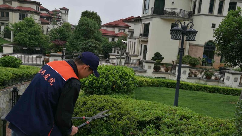小区绿化养护，如何规范施工流程？**